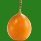 Avocado Icon
